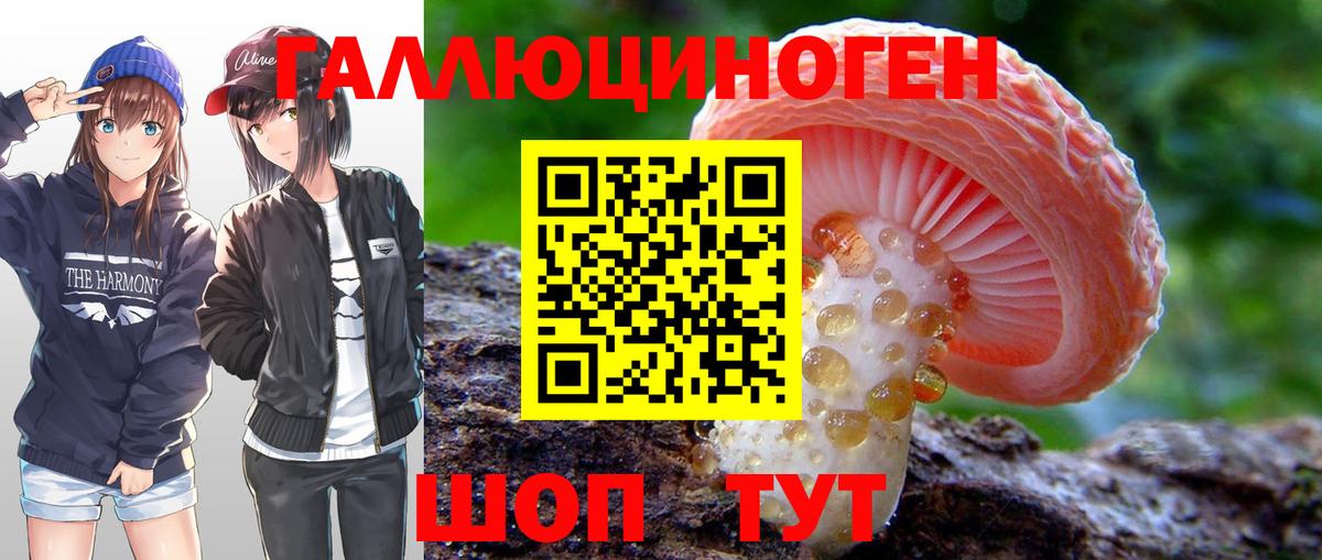 Псилоцибиновые грибы MAGIC MUSHROOMS  Вход с VPN  Псилоцибиновые грибы Psilocybe  Кохма 