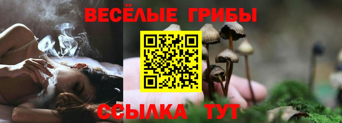 Галлюциногенные грибы Magic Shrooms Кохма